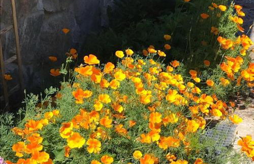 Siedlisko na Górce - Foto 39