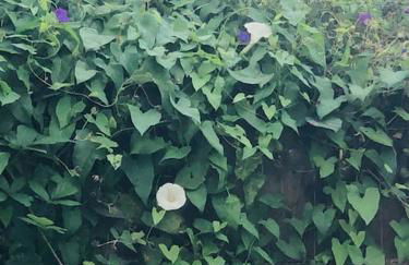 Zentrales Apartment mit Terrasse - Foto 13