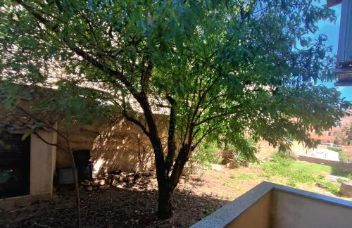 Amosina La Maddalena - Quiet Central Home, free parking - Foto 3