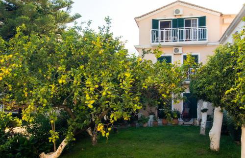 Olga Studios - 2 - Photo 1