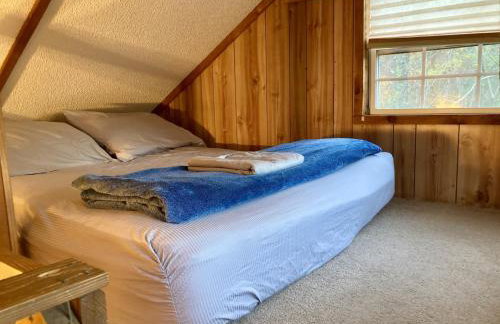 Sunnybrook Cabin, wooded, private with stream, near ATV trails - Foto 26