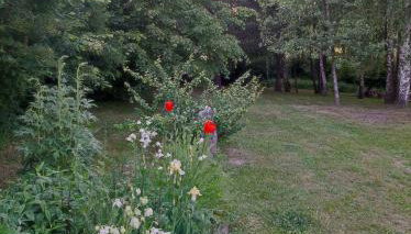 Brzozowy Chillout - Foto 4