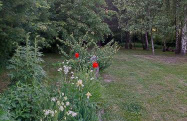 Brzozowy Chillout - Foto 4