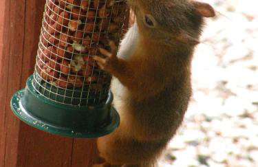 Thistle House Guest House - Foto 31