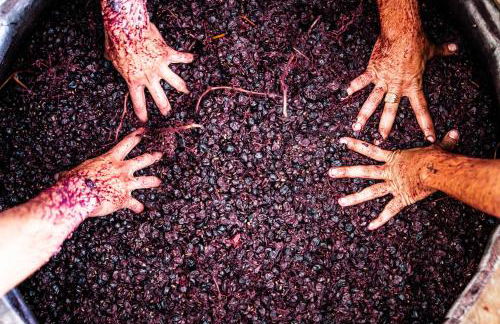 Locanda Gulfi - Foto 65