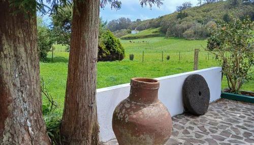 Casa da VíVí - Foto 5