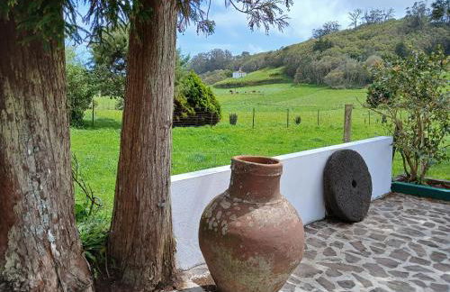 Casa da VíVí - Foto 5