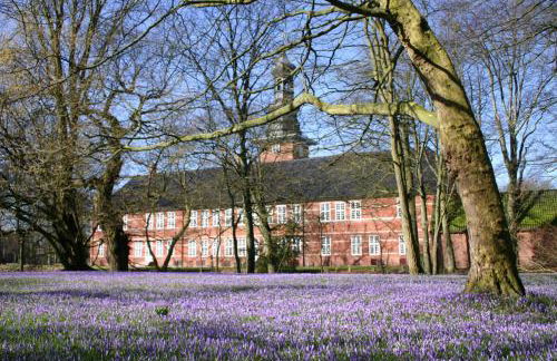 Carpe Diem - Foto 25