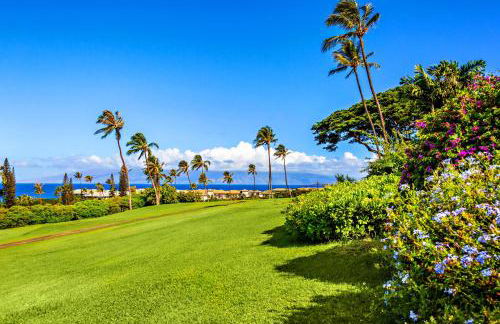 Kaanapali Plantation 54 - Photo 34