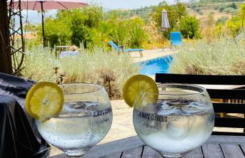 La Rústica en Viñuela, piscina privada - Foto 14