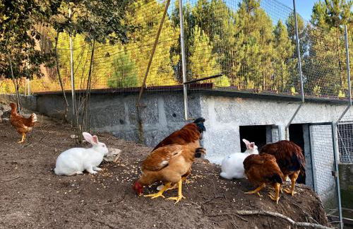 Casa da Quinta da Prelada Simão - Foto 59