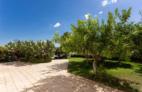 Oikos in Terre di Zaccanello - Foto 102