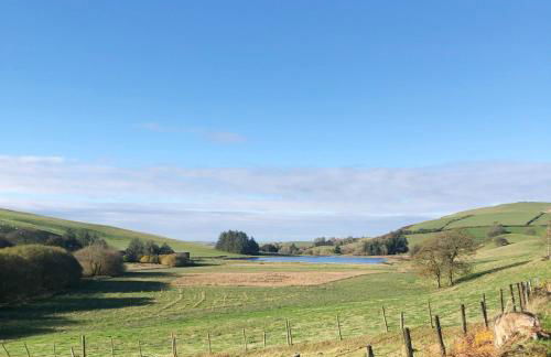 Llynhillyn Cottage - Foto 25