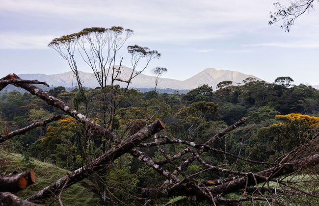 La Finca Azul - Foto 76