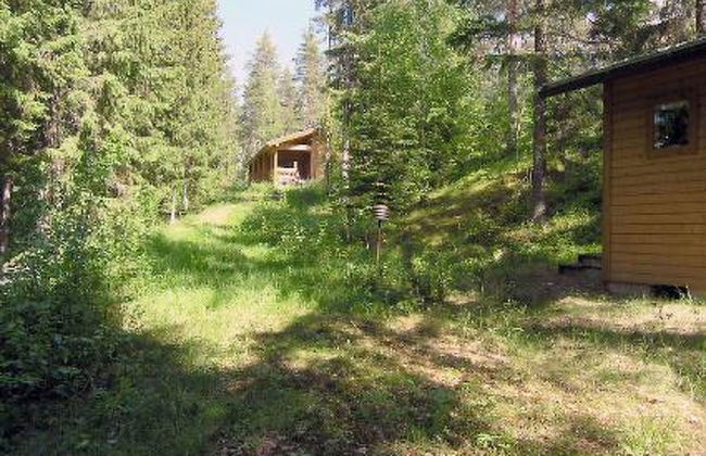 Lomakuikka - Foto 34