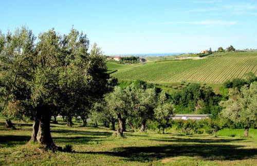 Agriturismo Tenuta Santa Maria - Foto 10