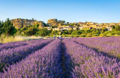Tiny House avec vue sur le rocher de Saignon, Luberon - Foto 36