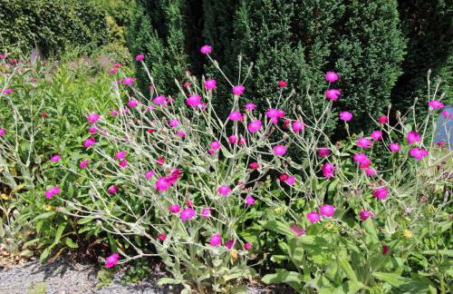 Dominant l'etang - Foto 23