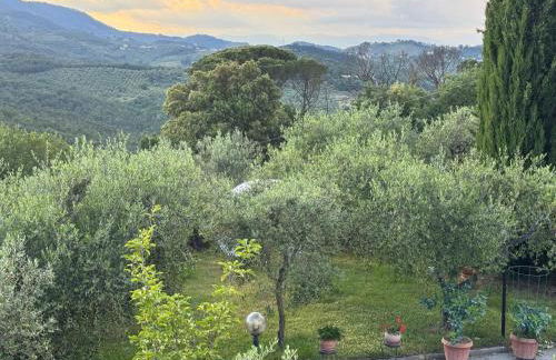 Panoramic Loft Artimino Tuscany - Foto 31