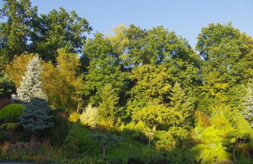 Dębowy Zakątek - SPOKOJNY, KOMFORTOWY WYPOCZYNEK W OKOLICY KRAKOWA - Foto 31
