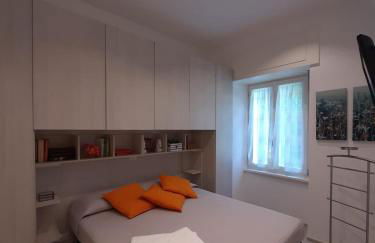 BMP APARTMENT GIOIOSA 2 giardino vista Lago Maggiore - Foto 18