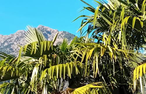 FeWo Passo-Palade - Foto 60