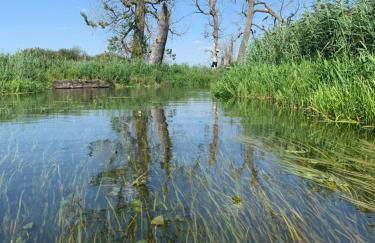 Stilvolle Ferienwohnung in historischer Stadtvilla - Foto 39