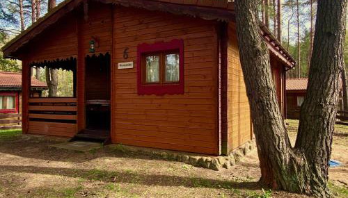 Domek nad jeziorem Guzowy Piec - Foto 2