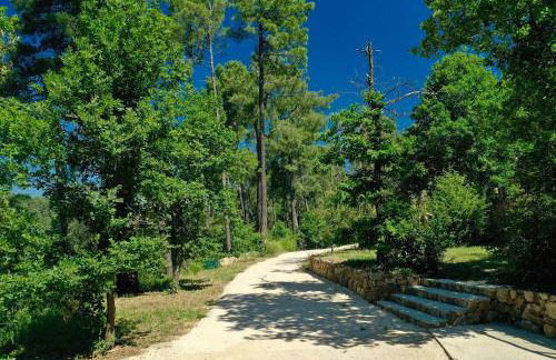 Gîte des arts premiers - Foto 18