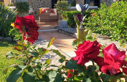 Villa Santina - Cefalù - Foto 41