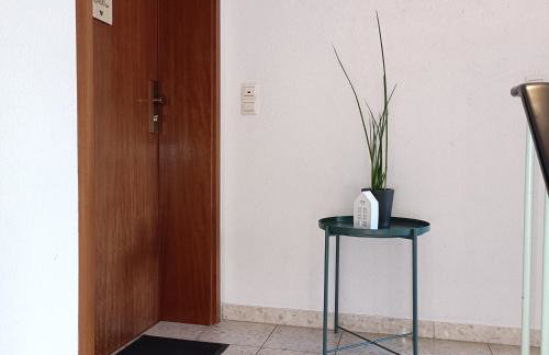 Urban Apple - Foto 12