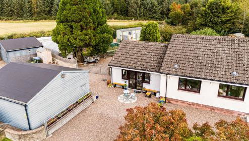 The Hive at Bee Happy Breaks Scotland - Foto 1