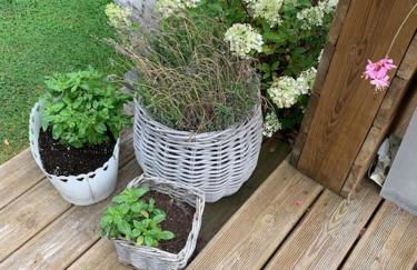 Maison moderne proche Golf et plage du Touquet - Foto 19