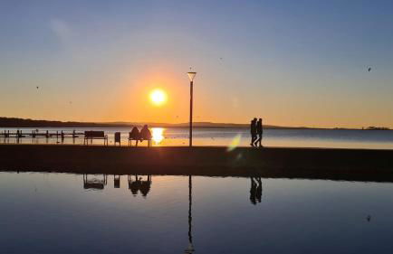 Villa am Steinhuder Meer App Suite-La Fleur-mit Pantry Küche, Luftreinigungssystem, Garten, WLAN - Foto 50