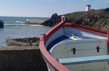 Les hortensias de papy - Foto 18