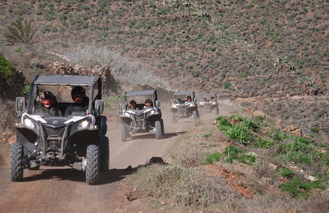 Tour di Guatiza e Mala in buggy - Foto 4