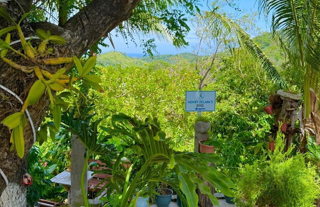 Casa Colibri - Foto 37