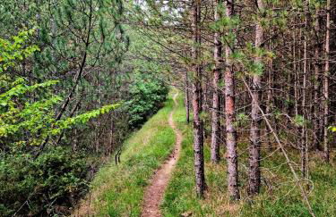 Casa Adelina by TraMonti Apartments - Foto 45