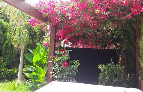 Puig de Ros - Foto 25