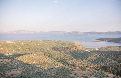 Ktima Develekou - Foto 63