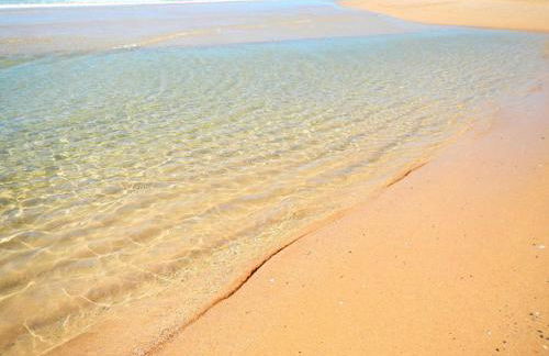 Quinta das Tílias - Foto 41