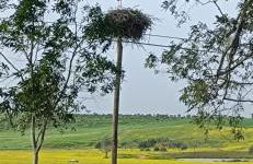 Eleven Castelo - Foto 29