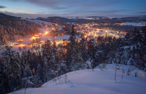 Haus Koenige Hinterzarten - Photo 19