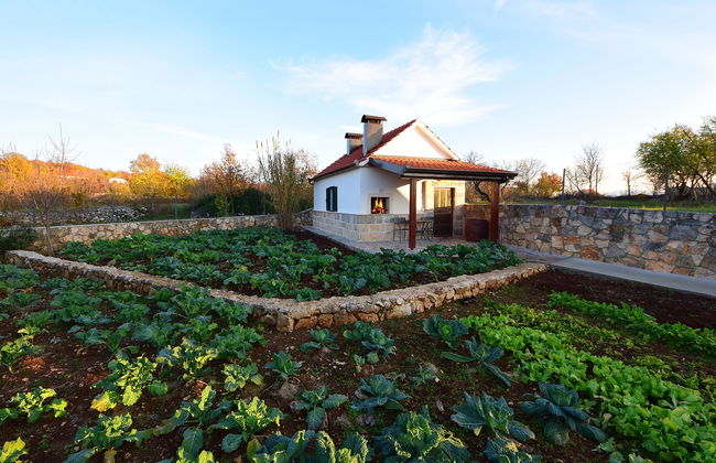 Bili dvori - Foto 21