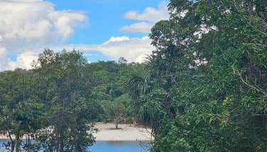 Casa Amazonika Tarumã - Photo 3