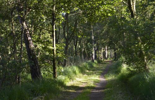 Ferienwohnung Kleine Auszeit - Foto 20