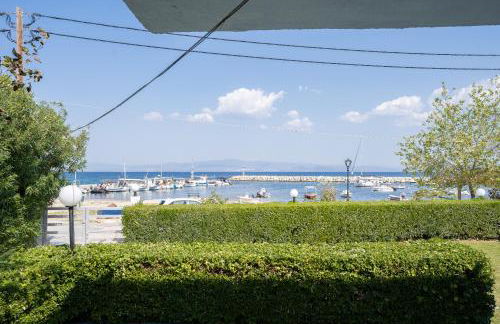 Seashell by halu! - Foto 59