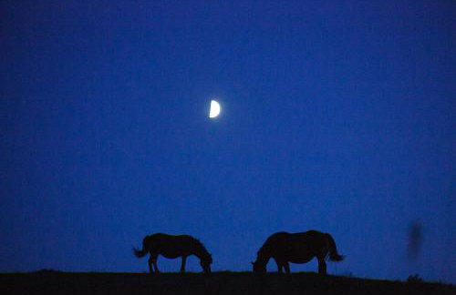 Apartamenty na Pastwisku - Foto 78