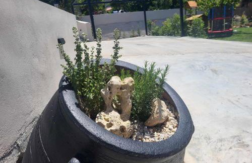 Villa Anasa Residence - Foto 66