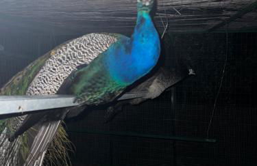 Agriturismo Catena - Photo 6